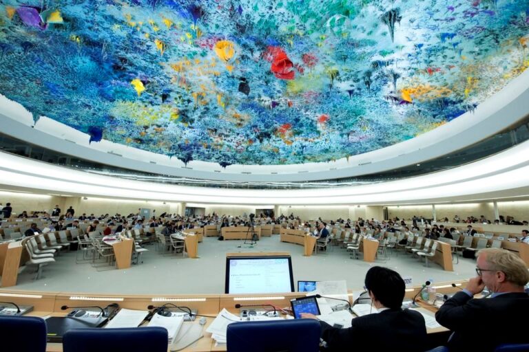 UN Human Rights Council