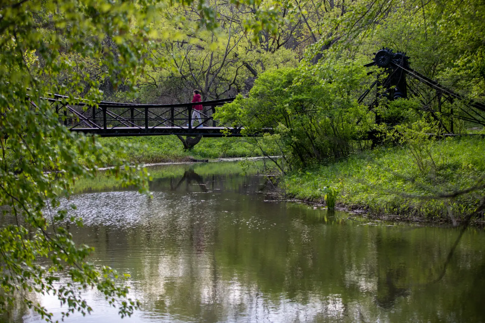 Forest Park St. Louis