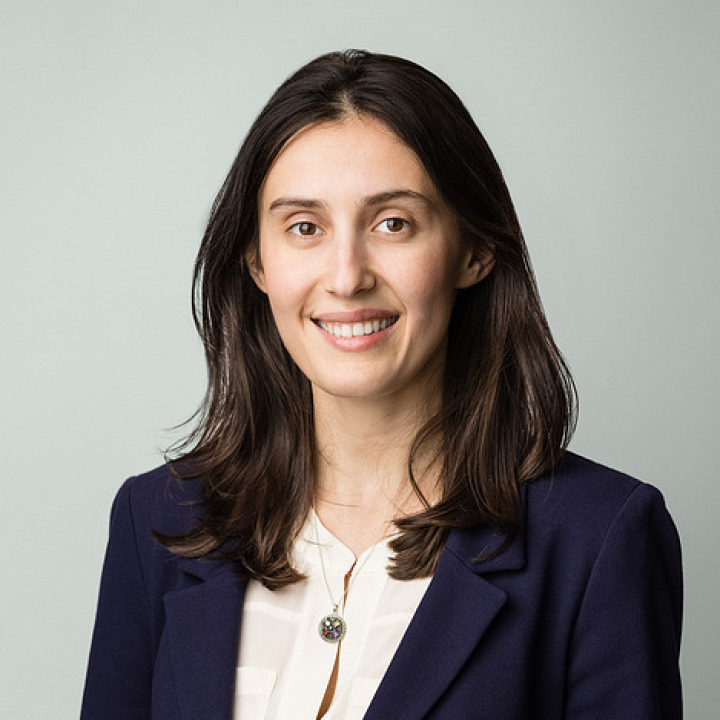 Genevieve Fried AI Board Headshots